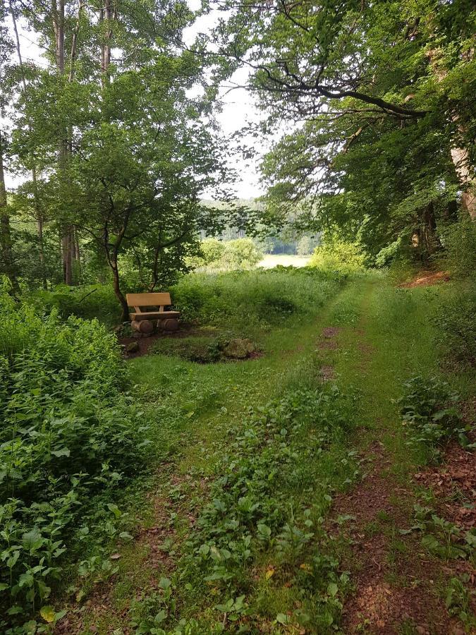 Ferienwohnungen.ruhla * Ruhla
