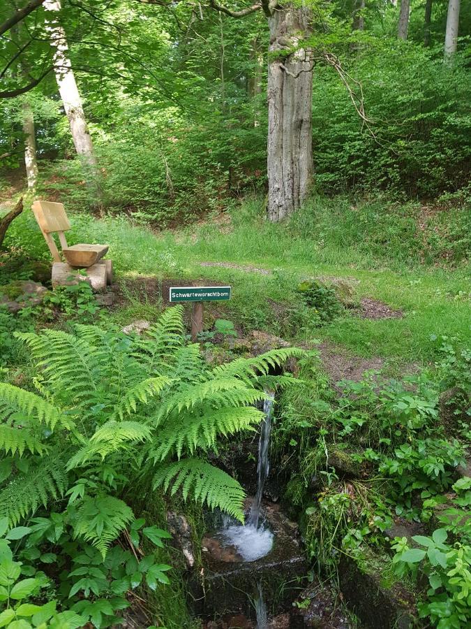 Ferienwohnungen.ruhla Apartamento Ruhla